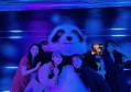 杭州余杭区附近夜场招聘包厢气氛租,接受新人的