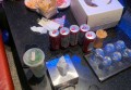 杭州小费高的夜场ktv招聘模特佳丽,招聘联系方式是什么