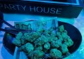 杭州中档夜场招聘商务模特,90后上可以做夜场招聘_